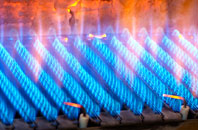 Newton Cross gas fired boilers